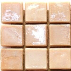 Curium Coral Mosaic Tile