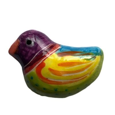 Fun Bird Rainbow Facing Left