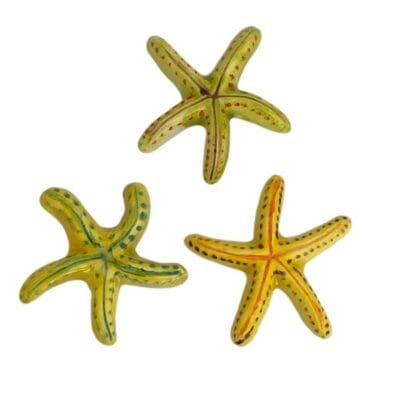 Starfish Set of 3