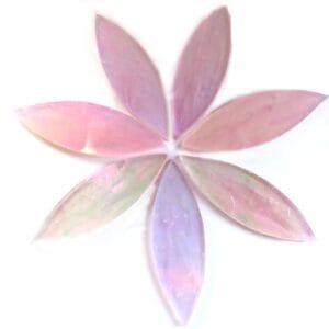 Large Petals Rosebud (7 Pieces)
