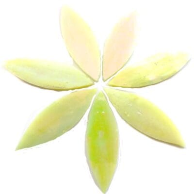 Large Petals Lemon Grass (7 Pieces)