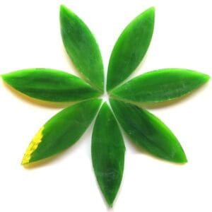 Large Petals Spanish Moss (7 Pieces)