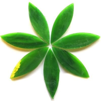 Large Petals Spanish Moss (7 Pieces)