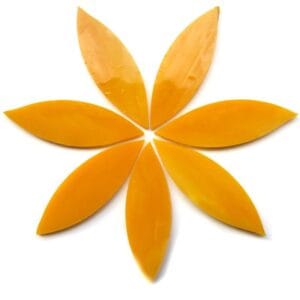 Large Petals Mango Nectar (7 Pieces)