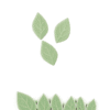 3 Pieces Mint Colored Leaves Various Sizes & Designs