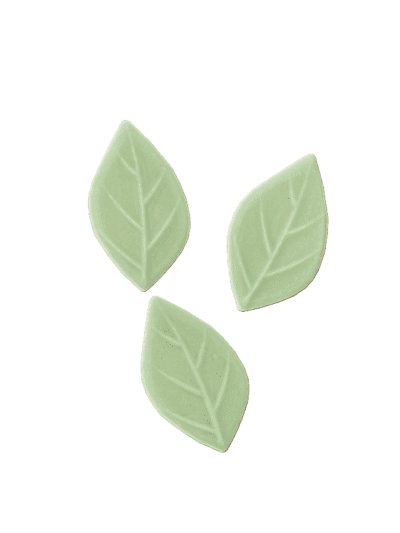 Mosaic Leaves Mint Size Large Strip