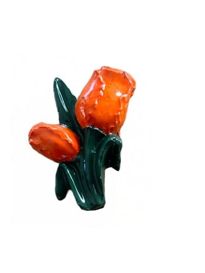 Tulips Various Colours