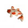 Koi Various Colors