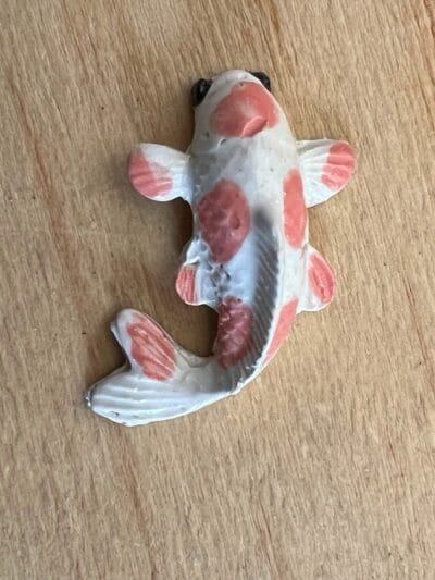 Koi Various Colors
