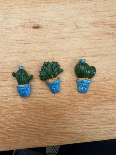 Cactus set of 3 various colours