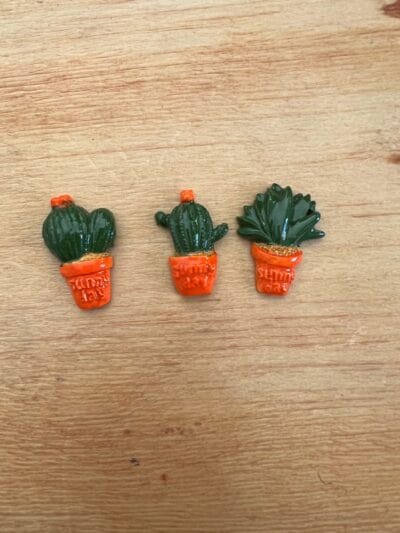 Cactus set of 3 various colours
