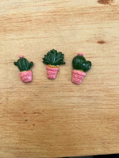 Cactus set of 3 various colours