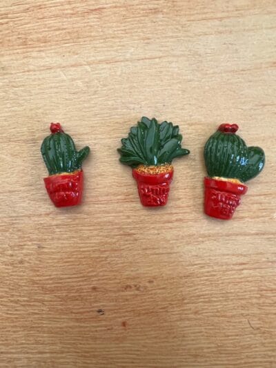 Cactus set of 3 various colours