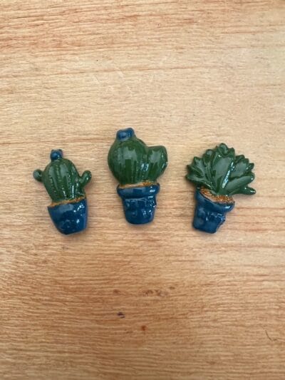 Cactus set of 3 various colours