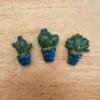Cactus set of 3 various colours