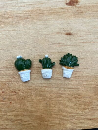 Cactus set of 3 various colours
