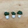Cactus set of 3 various colours