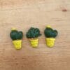 Cactus set of 3 various colours