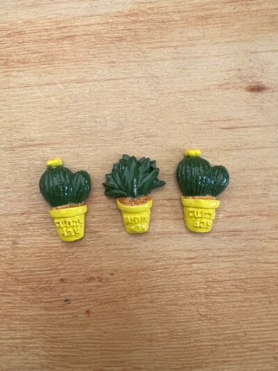 Cactus set of 3 various colours