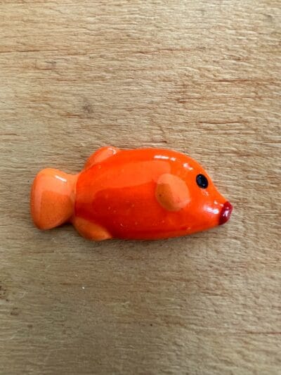 Fish Various Colors