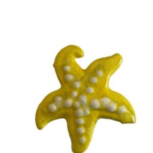 Star Fish Various Colours