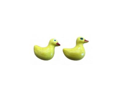 Set of 2 ducks various colours