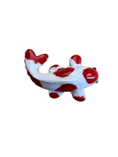 Koi Various Colors