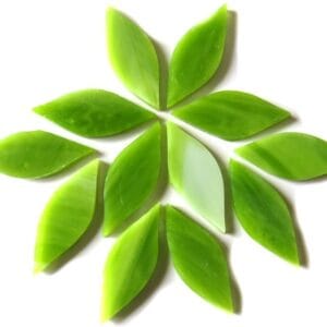 Small Petals Green Tea (12 Pieces)