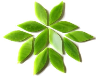 Small Petals Green Tea (12 Pieces)