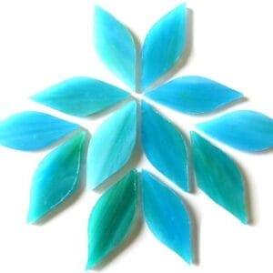 Small Petals Parrot Fish (12 Pieces)