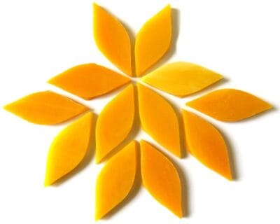 Small Petals Mango Nectar (12 Pieces)