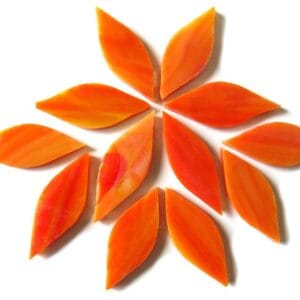 Small Petals Early Sunrise (12 Pieces)