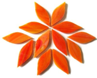 Small Petals Early Sunrise (12 Pieces)