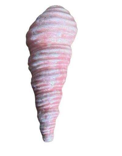 Thin Shell Mosaic Insert Pink