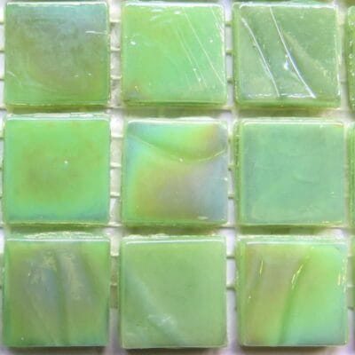 Asparagus Sheet 25 Tiles
