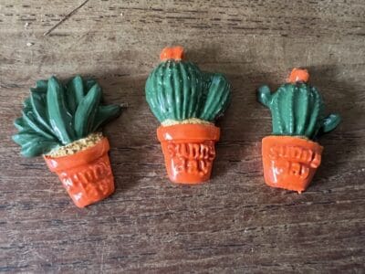 Cactus set of 3 various colours
