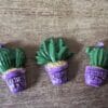 Cactus set of 3 various colours