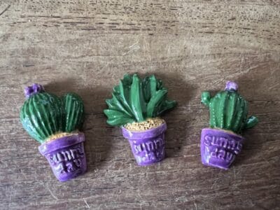 Cactus set of 3 various colours