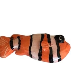 Clown Fish Facing Right