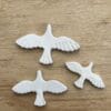 flock-of-birds-white