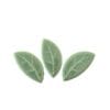 mint curved leaf medium