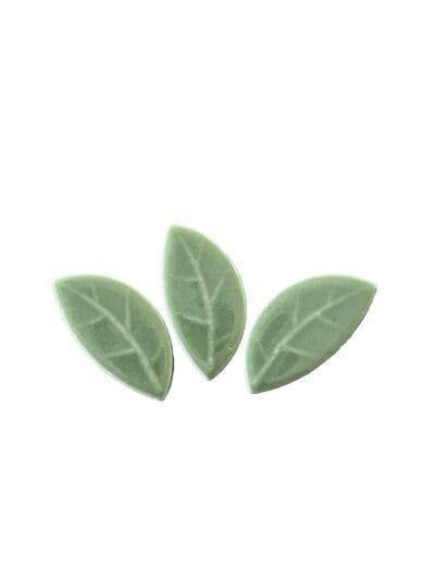 mint curved leaf medium
