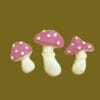 Set of 3 mushrooms various colors