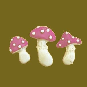 Set of 3 mushrooms various colors