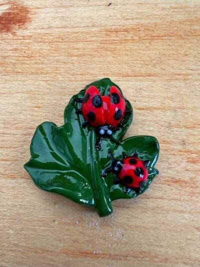 Leaf with ladybug