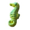 nw145 seahorse mosaic insert desgin 1