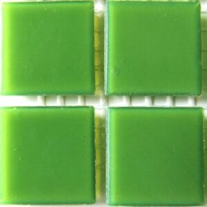 River Plain Kiwi Sheet of 25