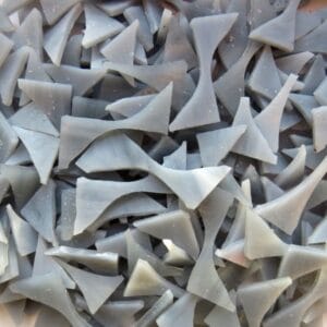 stained glass ofcuts for mosaic grey smoke