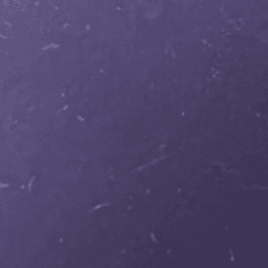 toz-purple-ceramic tile